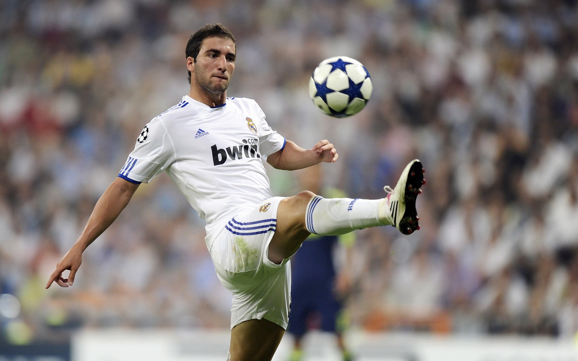 全新赛道设计：挑战极限的每一弯，赛道式比赛